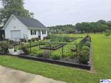630 Shannon Road - Photo 47