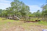287 Bubba Road - Photo 42