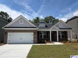 1150 Summer Duck Loop (Lot 28) - Photo 1