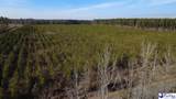 0 (TBD) Bay Catfish Rd. - Photo 4