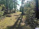 2886C Stephens Rd - Photo 5