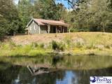 141 Nathan Rd. - Photo 42