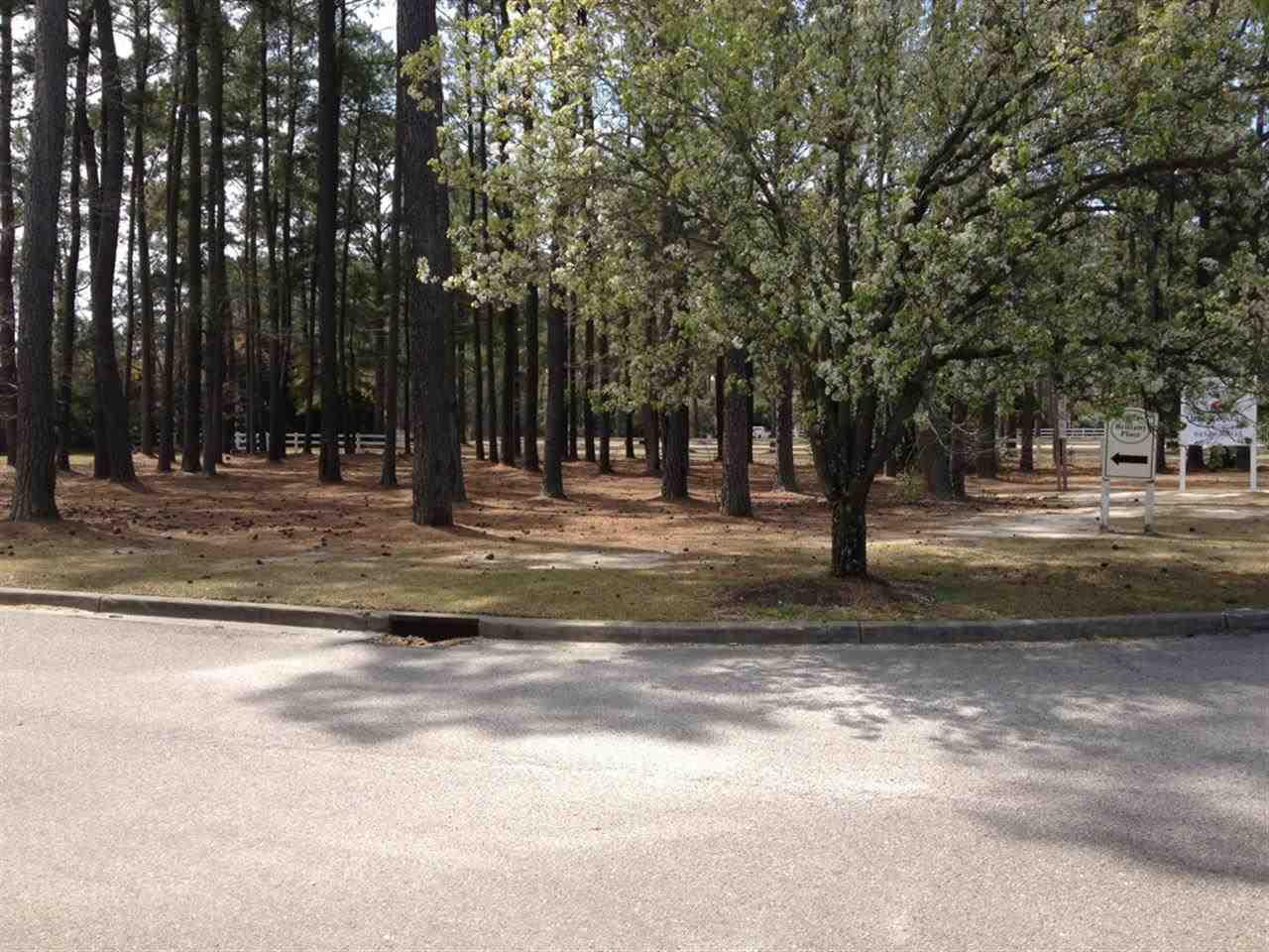 TBD Palmetto St & Brittany Dr. - Photo 1