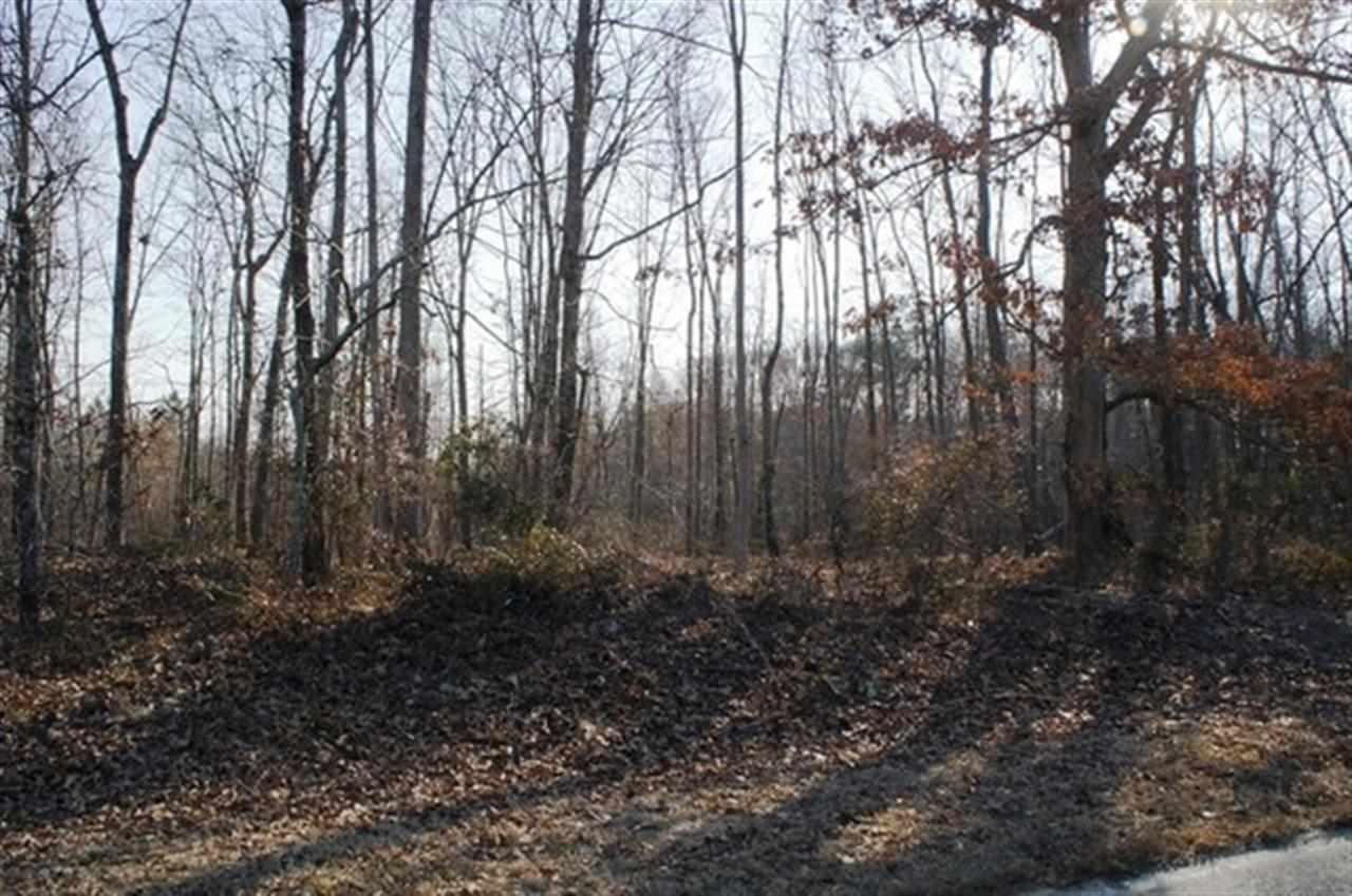 Curtis Rd Hwy 764 - Photo 1