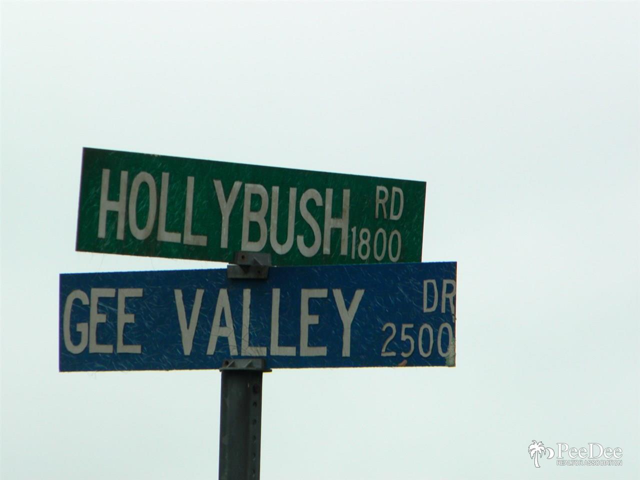 Lot #4 Gee Valley Dr. - Photo 1