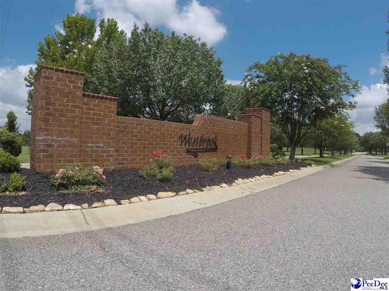 Lot 4 Prairie Dunes Lane - Photo 1