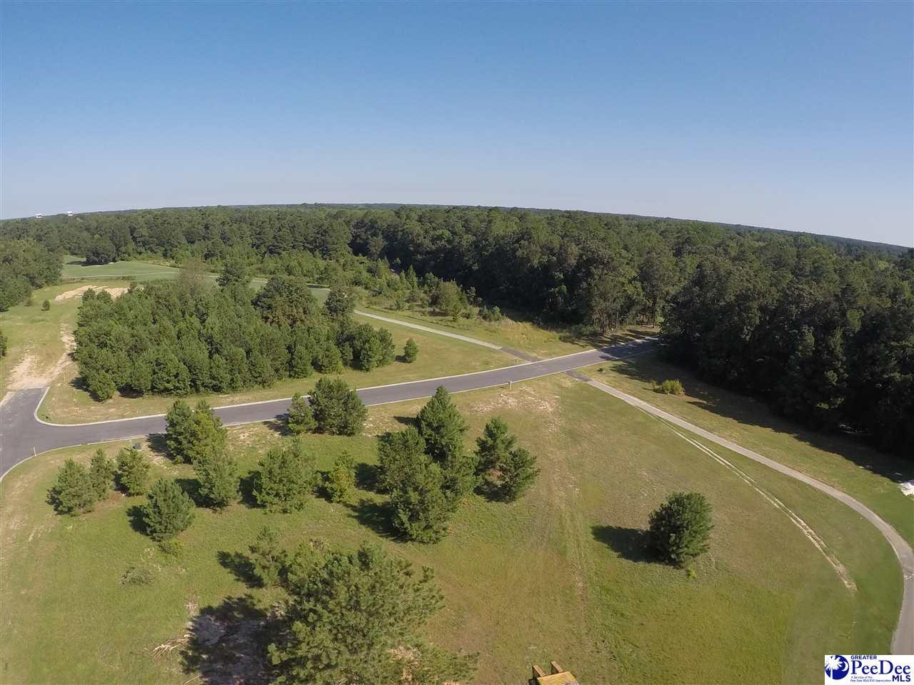 Lot 5 Hogan Lane - Photo 1