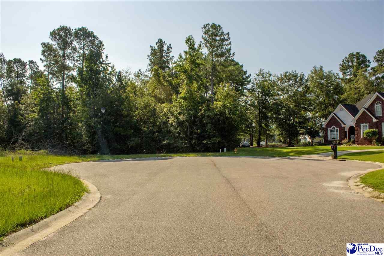 Lot 71 Quaker Ridge - Photo 1
