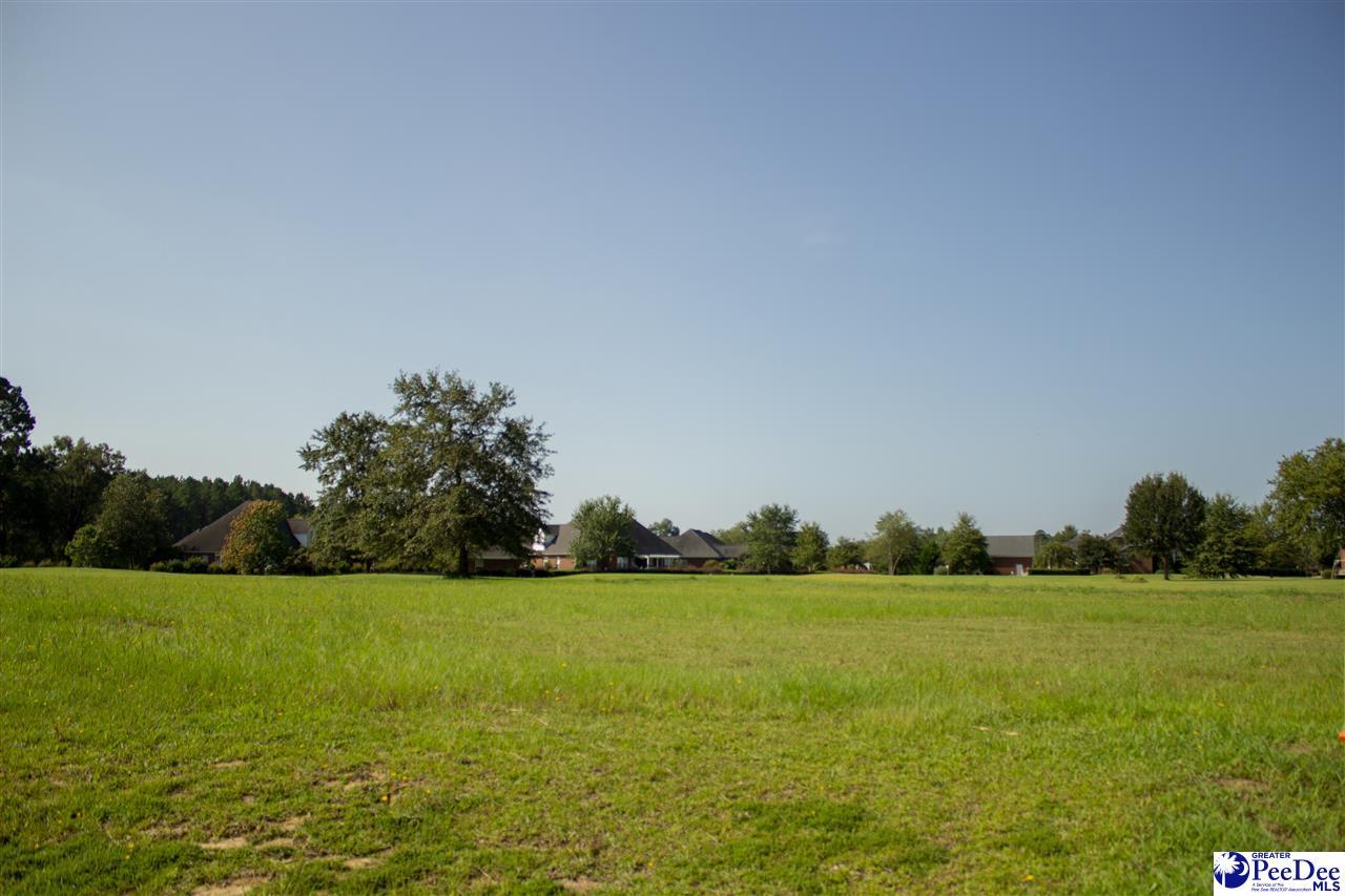 Lot 66 Grey Oaks Drive - Photo 1
