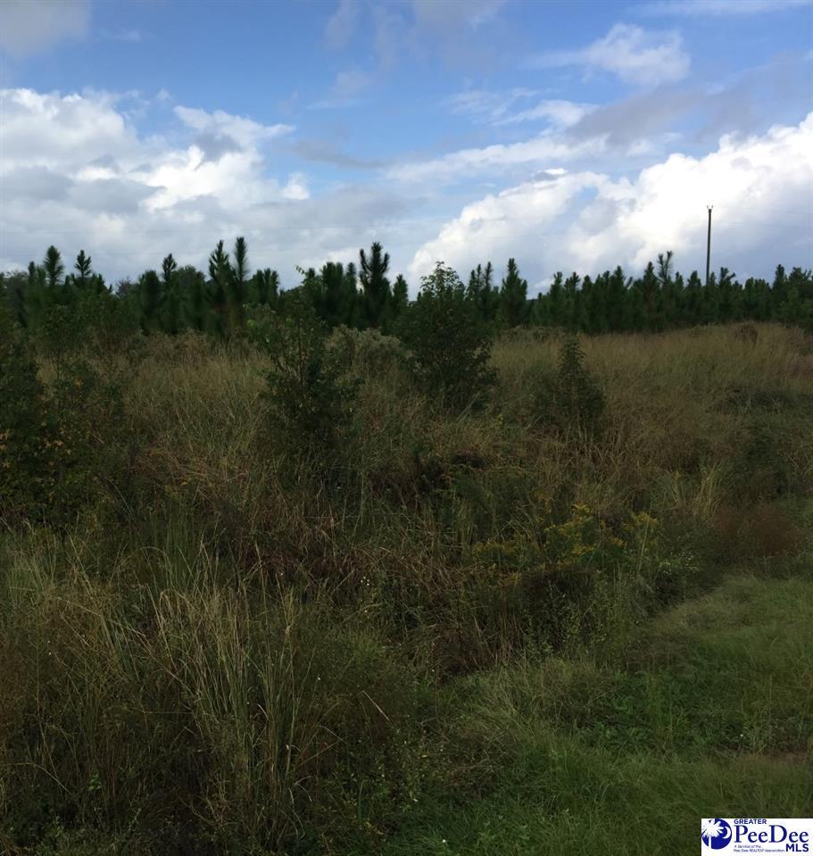 1939 N Williston Road - Photo 1