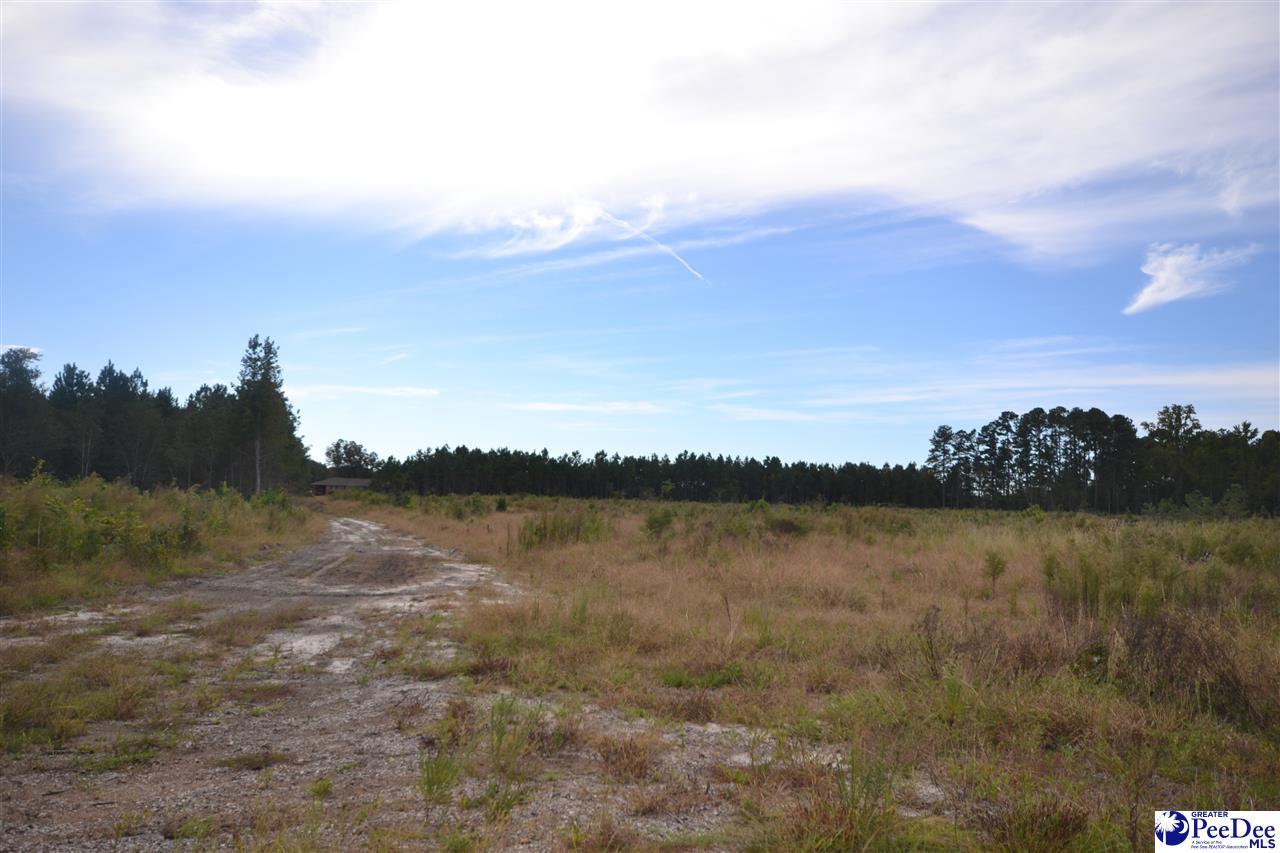 TBD Stokes Road - Photo 1