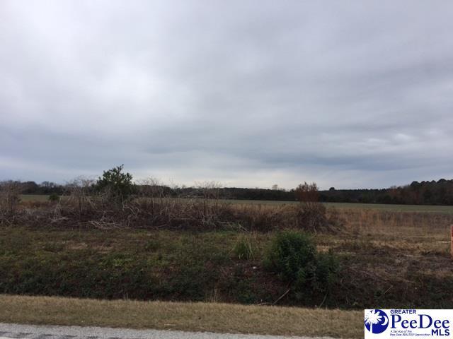 TBD Wisacky Highway - Photo 1