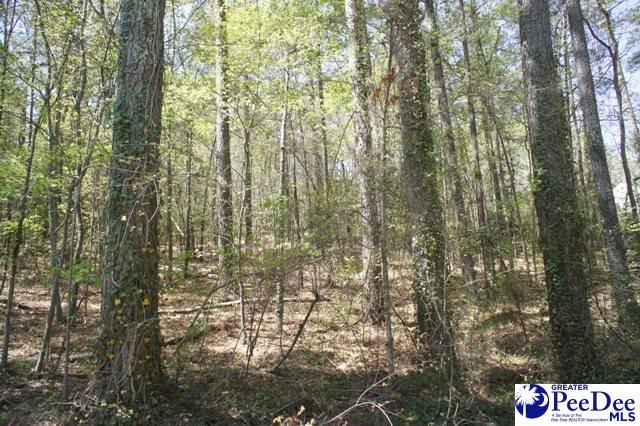 Lot 6 Ivy Hill Garland St - Photo 1