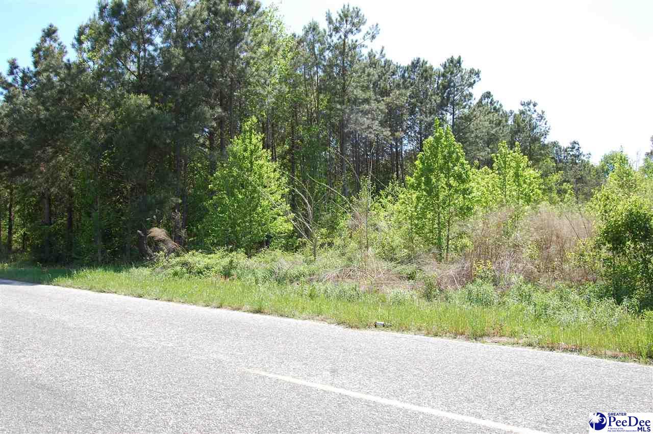 Blanding Dr & Shaw - Photo 1