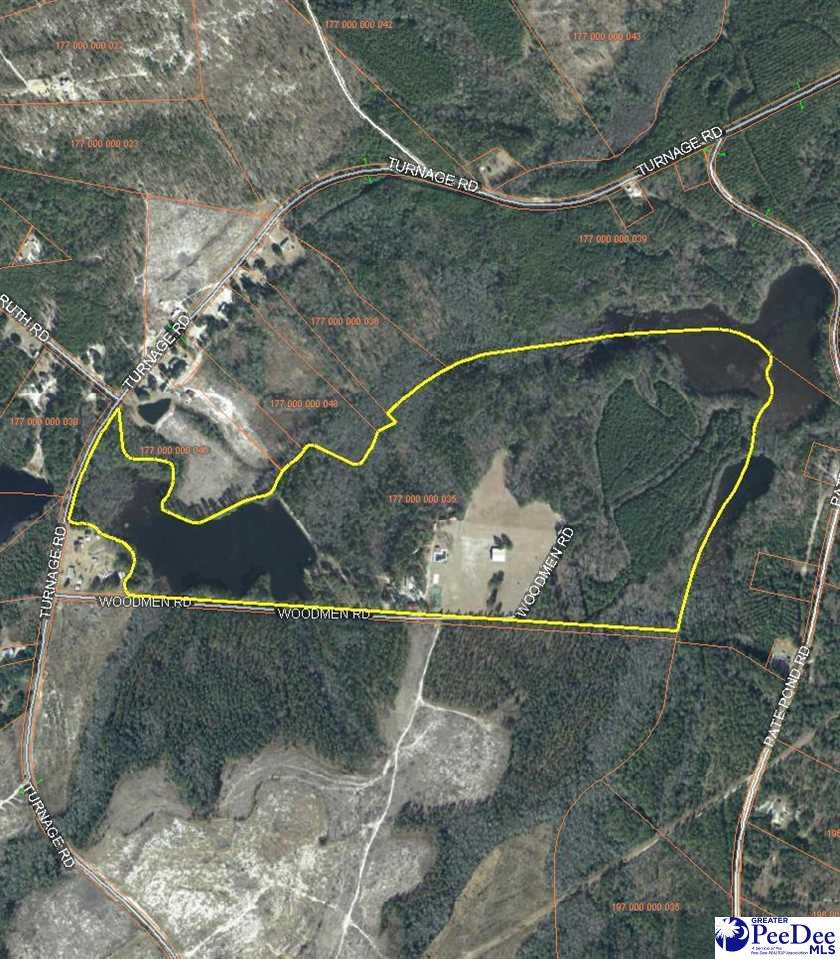 423 Woodmen Road - Photo 1