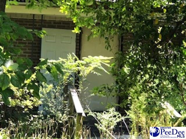 223 Darlington Ave - Photo 1