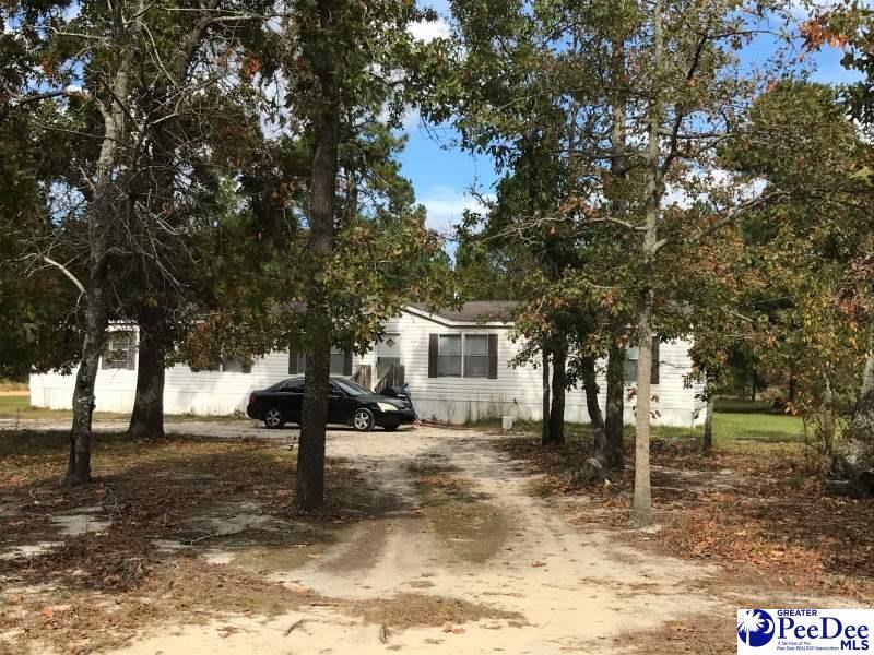 1238 Pee Dee Church Road - Photo 1