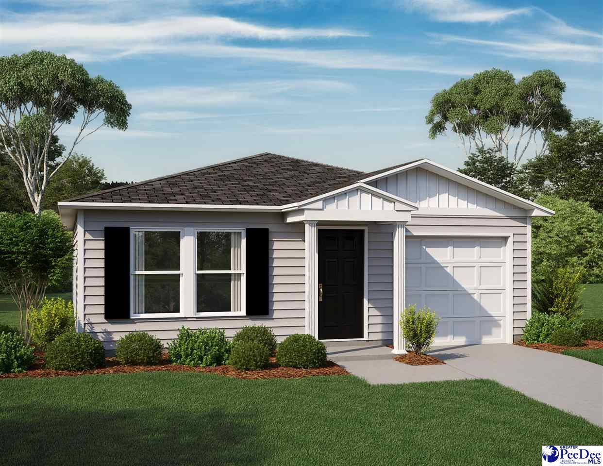 1033 Aunt Prissey Court - Photo 1
