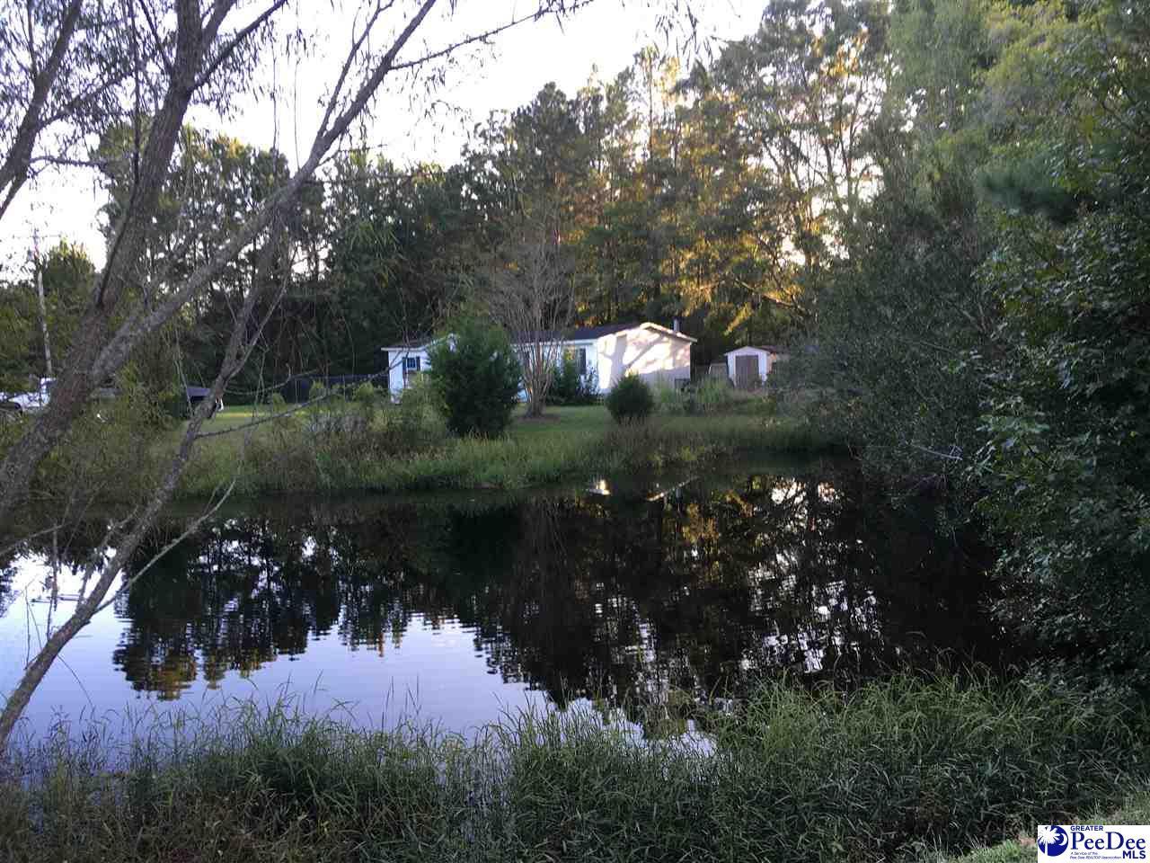 1321 Montford Rd - Photo 1
