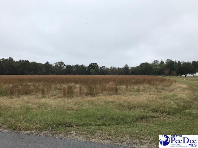 Lot 8 Mclaurin Drive - Photo 1