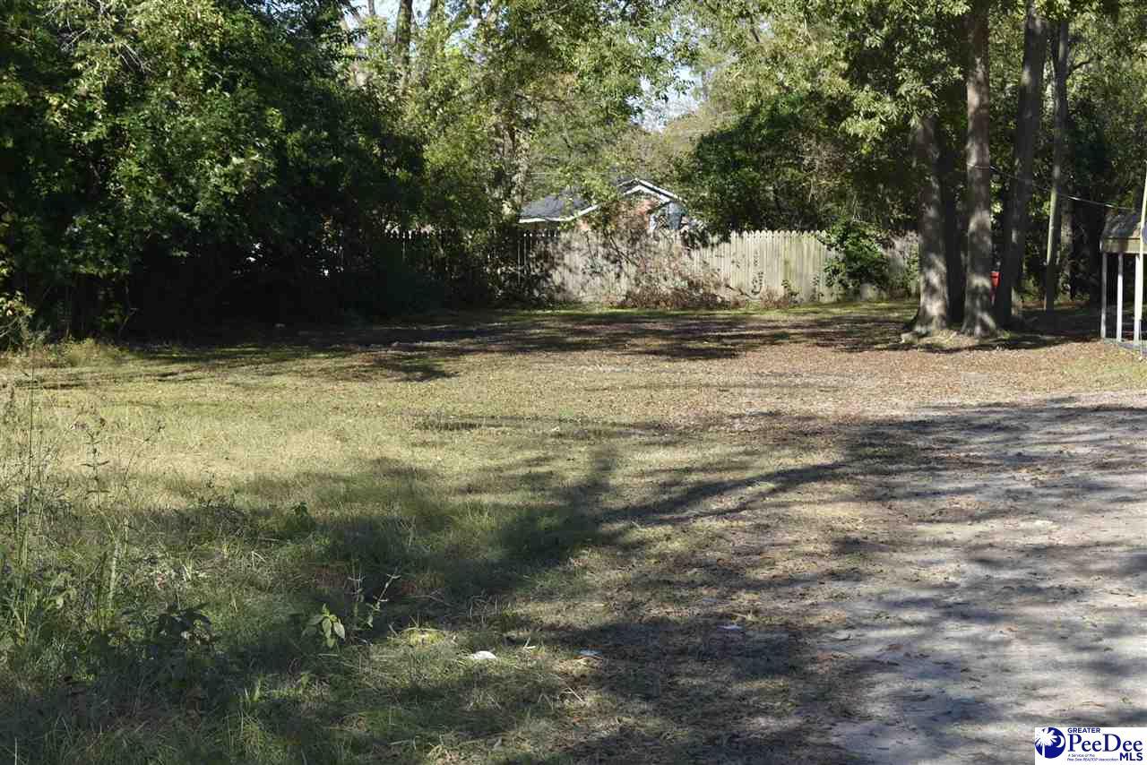 1113 Sumter St - Photo 1