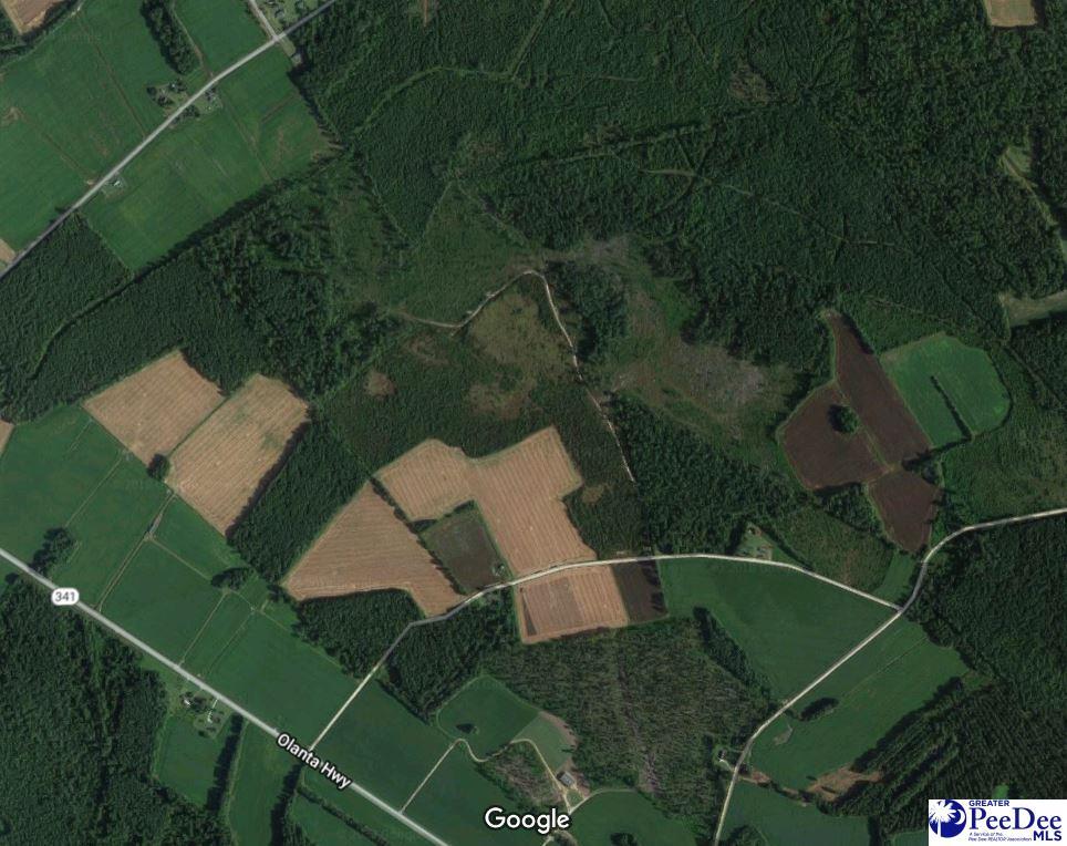 TBD Off Hwy 341 - Photo 1