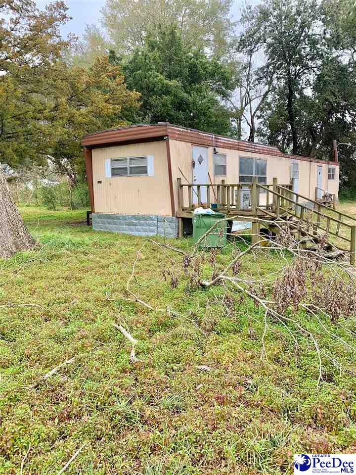 117 Bower - Photo 1