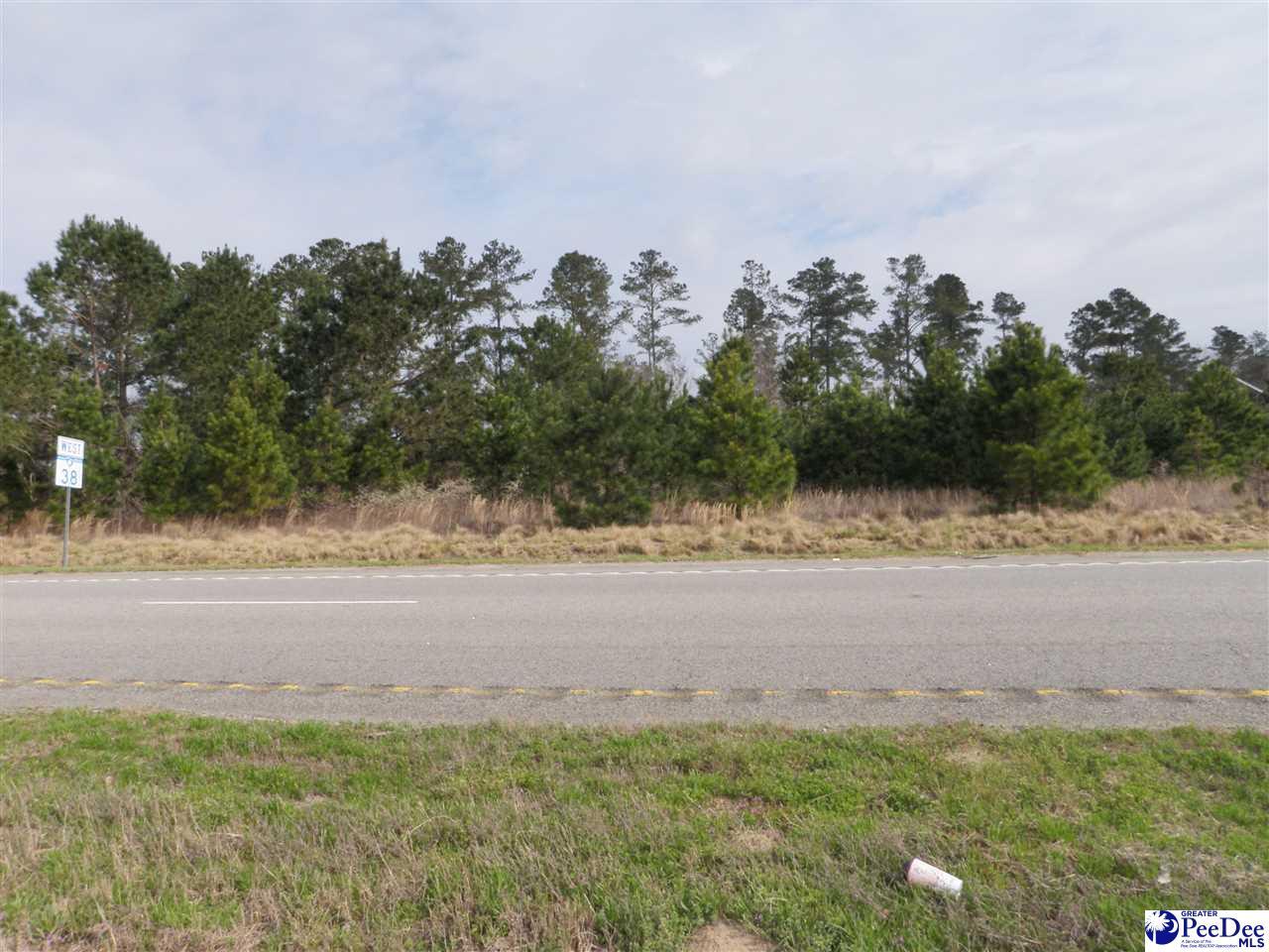 TBD Hwy 38 - Photo 1