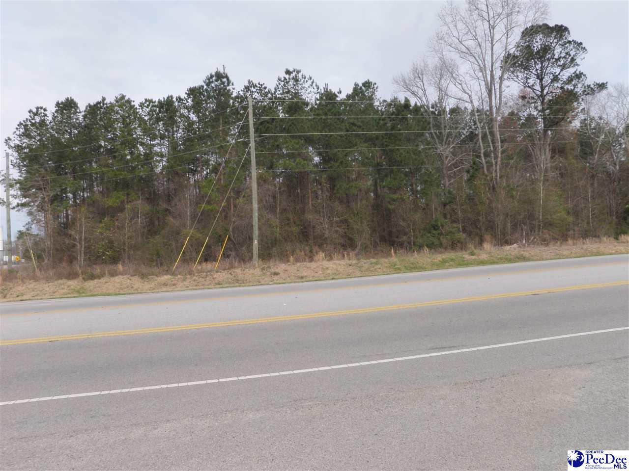 TBD Hwy 301 - Photo 1