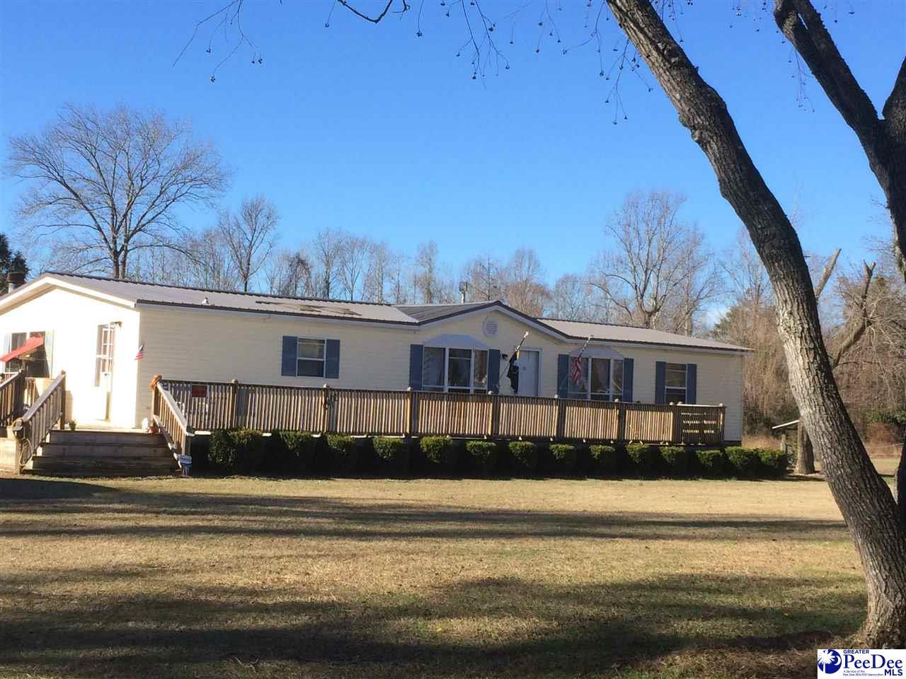 2709 Grey Fox Loop - Photo 1