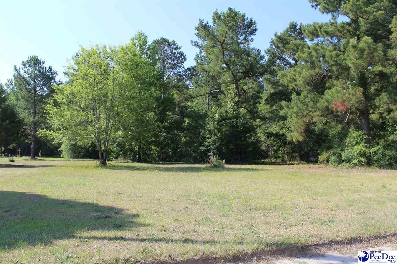 tbd Ellerbe Road - Photo 1