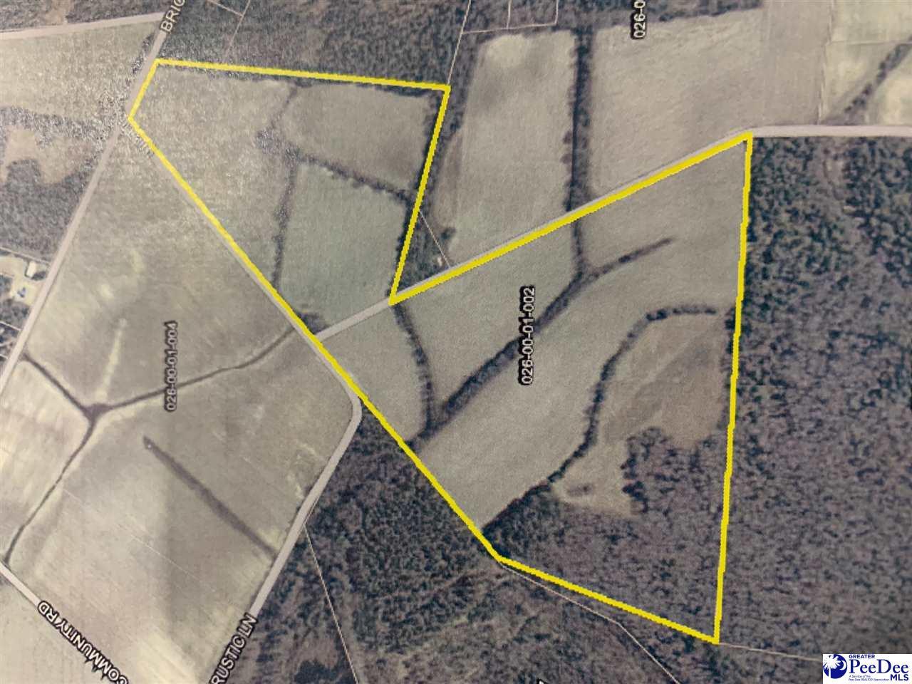 81 acres Rustic Lane/Brickyard Rd - Photo 1