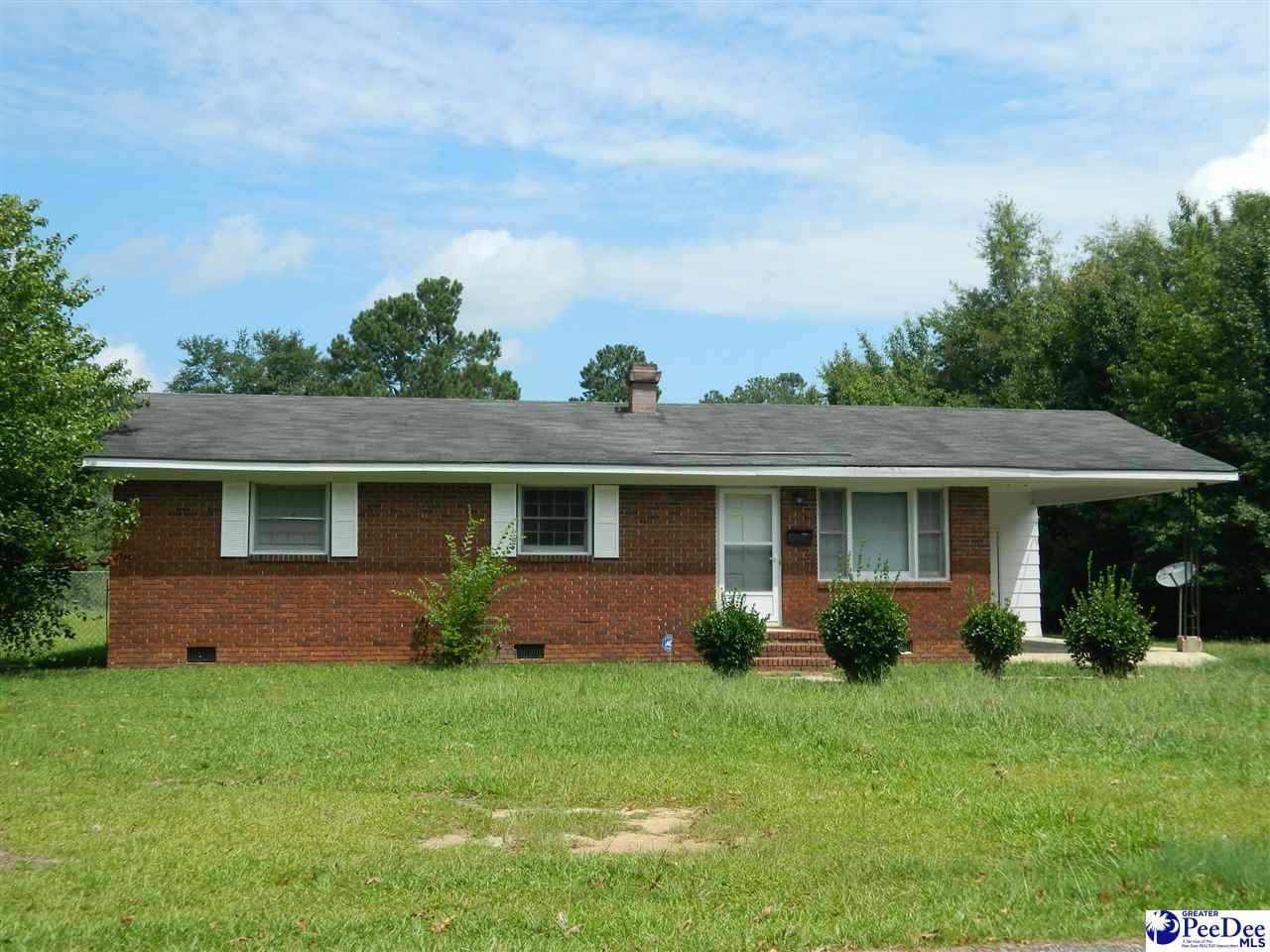120 Pee Dee Circle - Photo 1