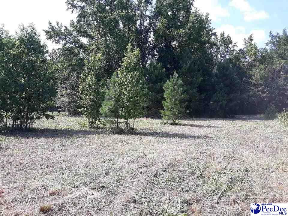 TBD Stillfork Rd - Photo 1