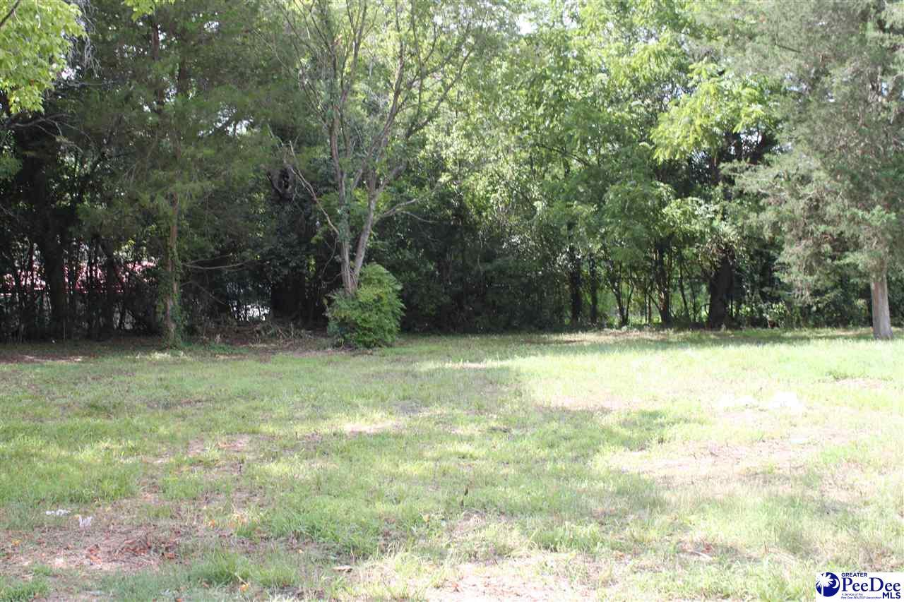 110 Tallulah Street - Photo 1