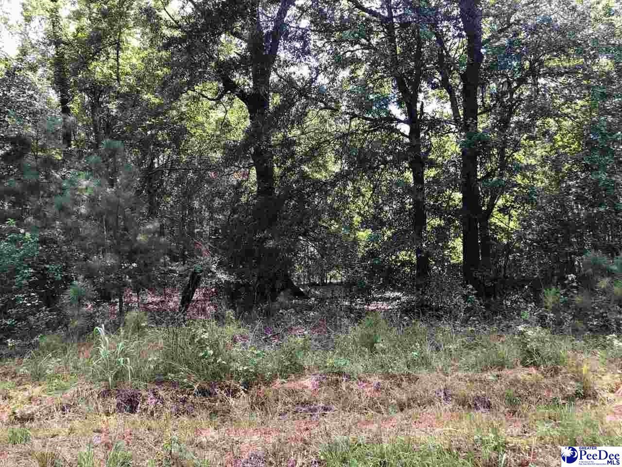 TBD Isgett Road - Photo 1