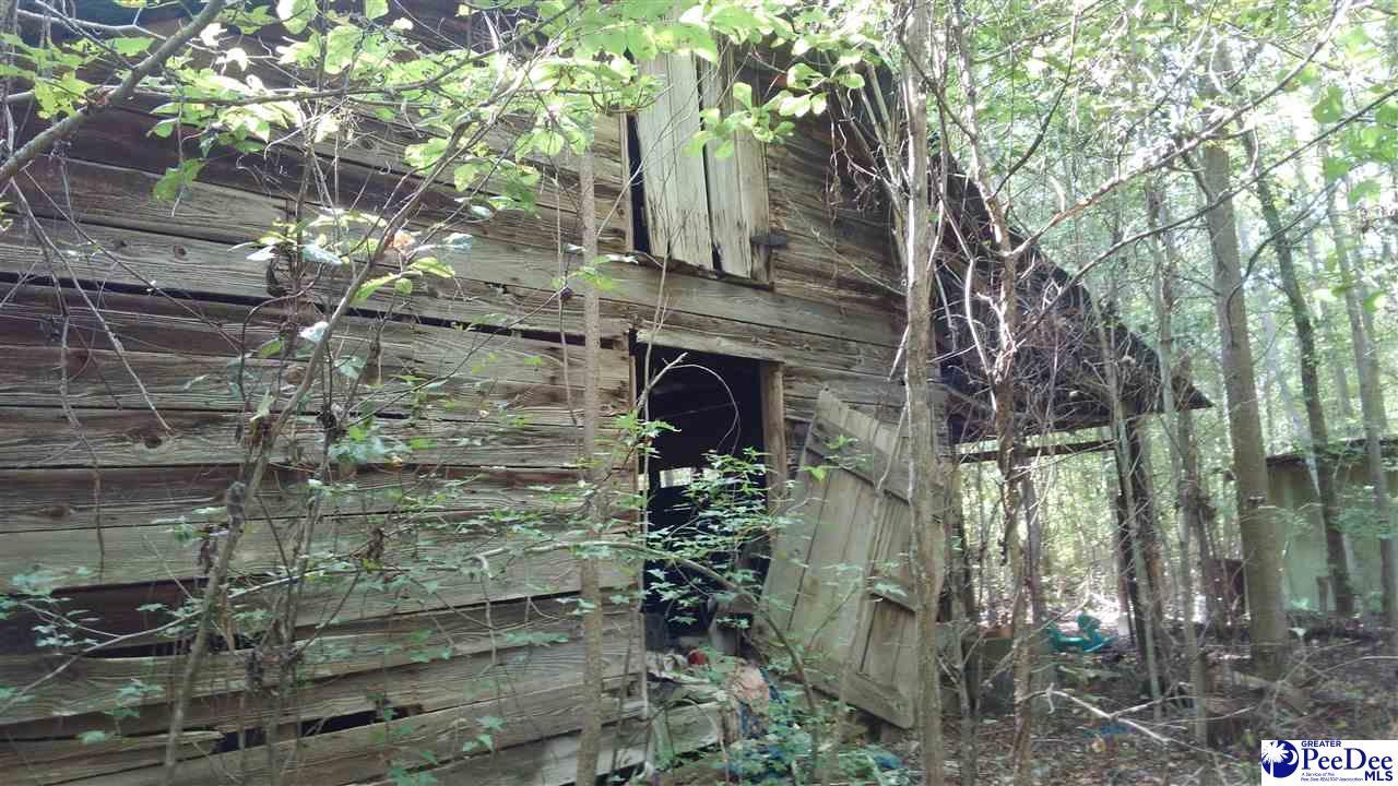 62 Rocky Prong Road - Photo 1