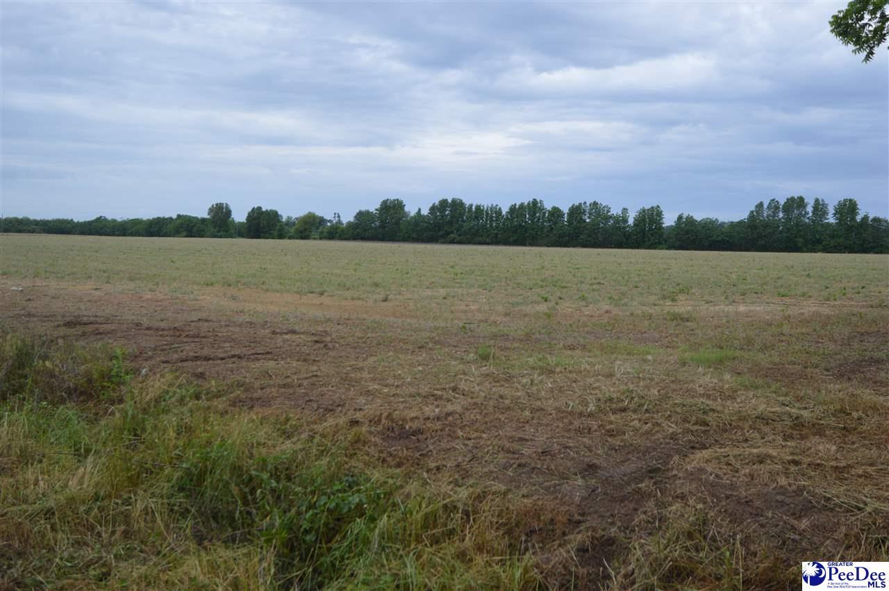 Lot 5 Byrdtown Road - Photo 1