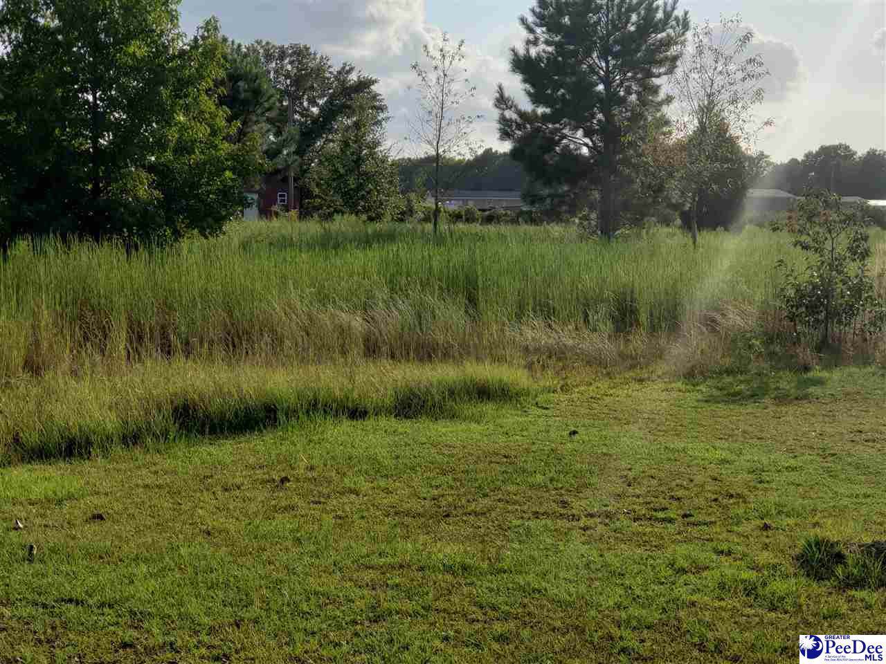 1513 Remount Road - Photo 1