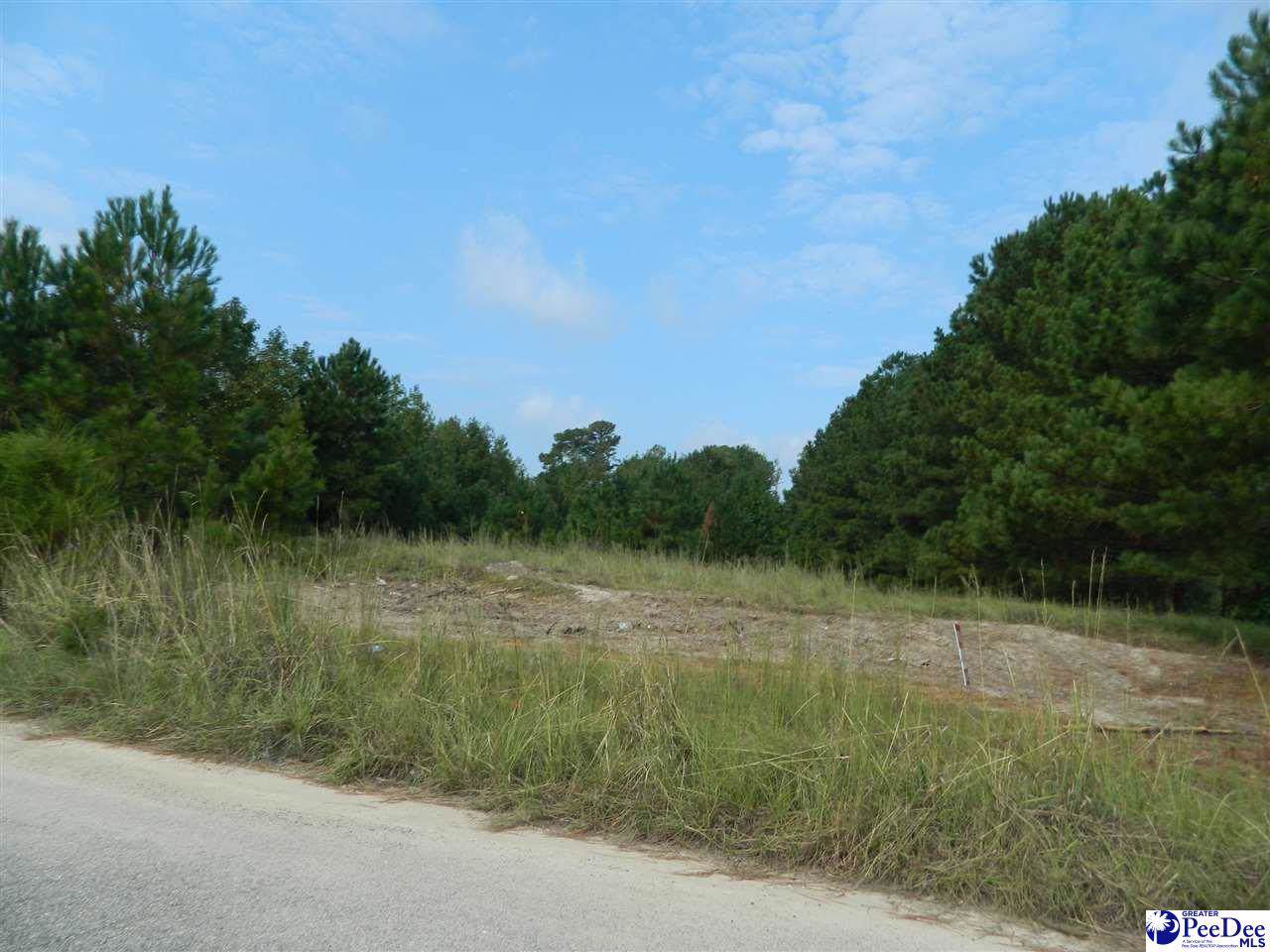 TBD Triple Crown Drive - Photo 1