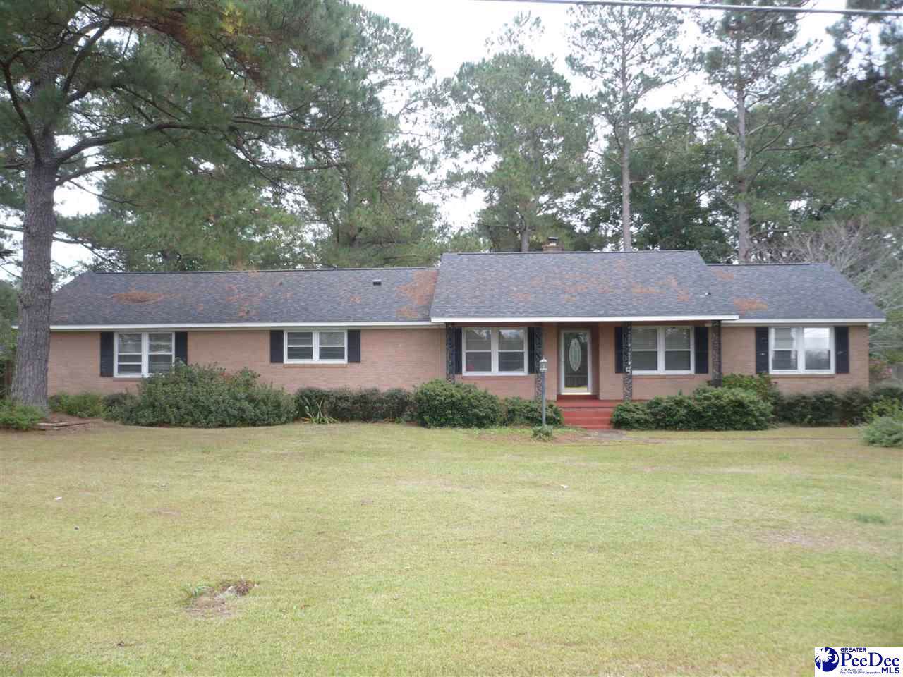 308 Myrtle Beach Hwy. - Photo 1