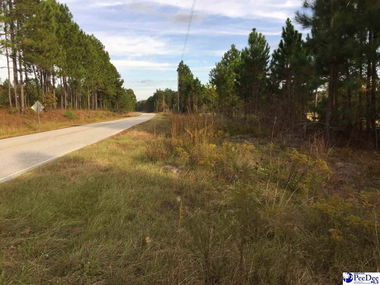 2588 Patrick-Society Hill Rd - Photo 1