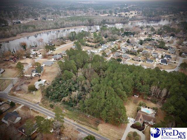 Lot 2 Whitehall Shores Road - Photo 1