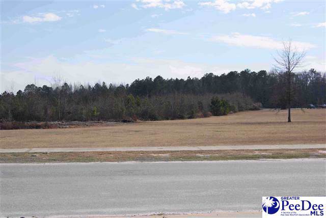 TBD3 Governor Williams Hwy - Photo 1