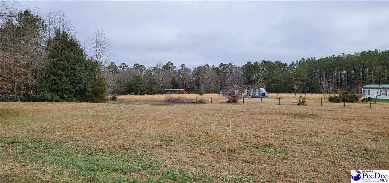 2662 Hwy 38 - Photo 1
