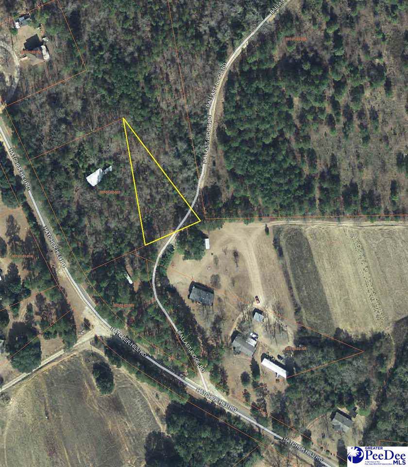 Ballast Ridge Rd And Hatcher Hill Road - Photo 1