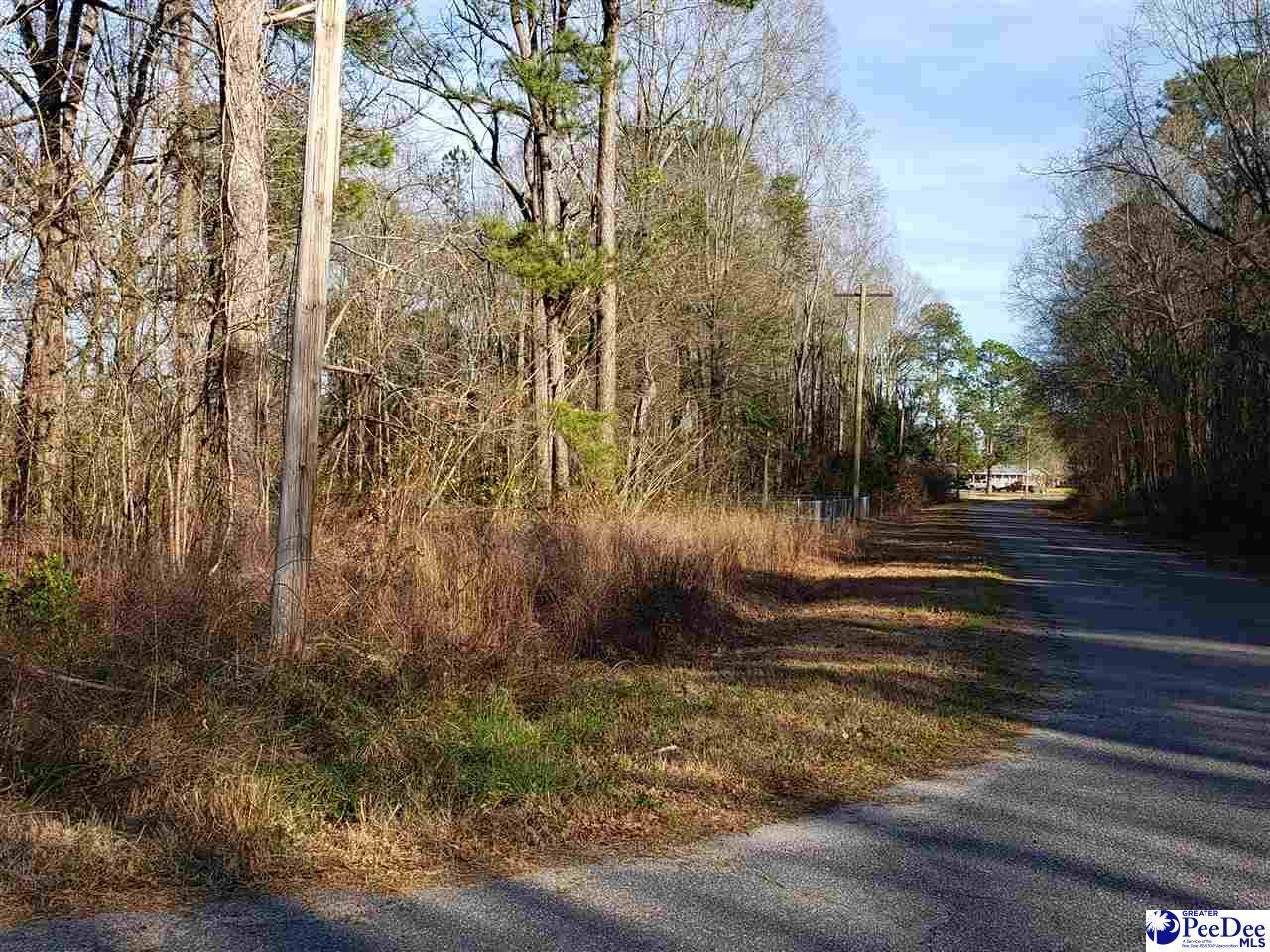 tbd Kinney Circle & Mallard Street - Photo 1