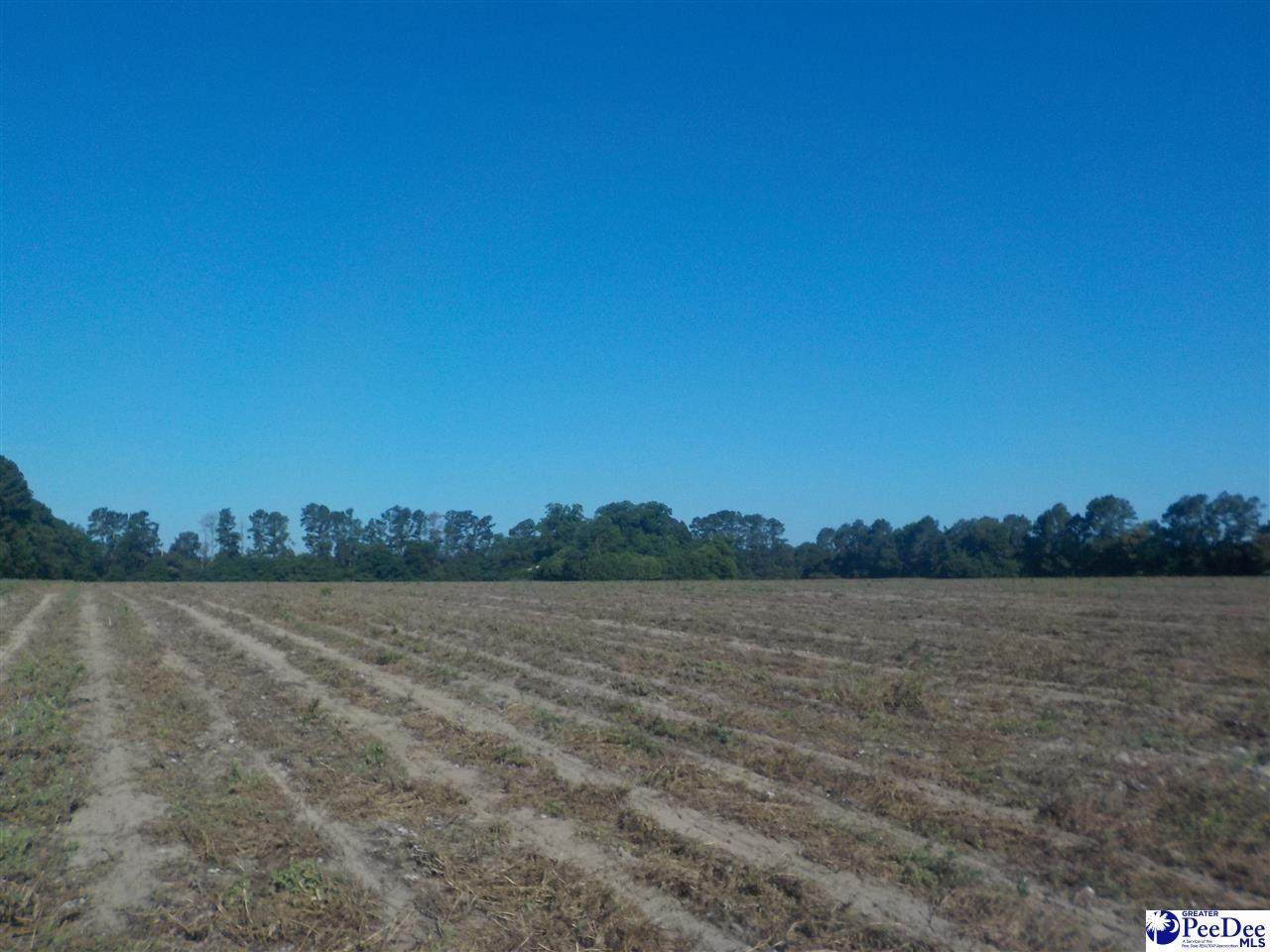TBD Hebron Church Road - Photo 1