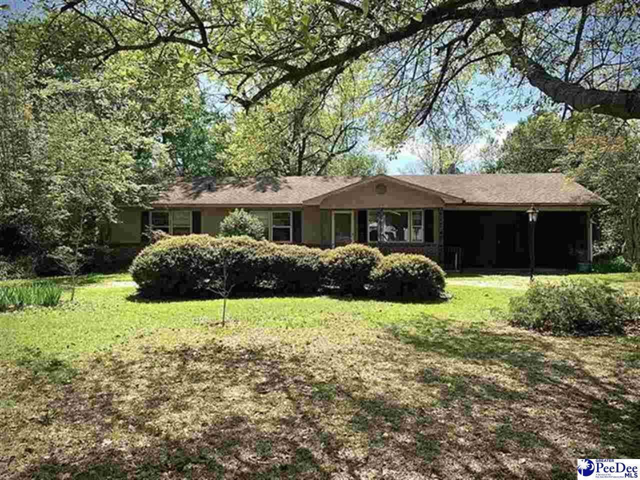 2423 Highway 501 - Photo 1