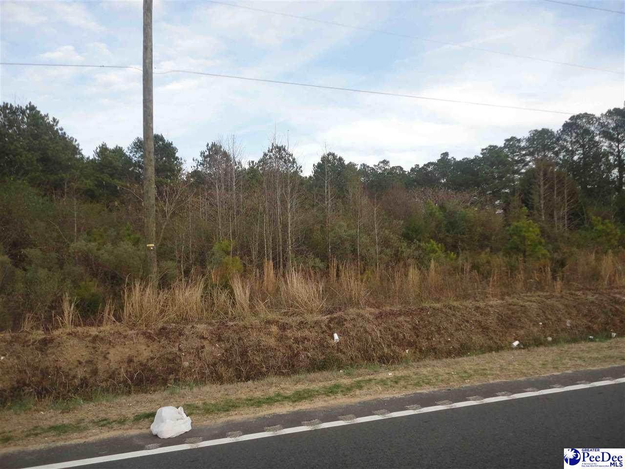 TBD Longstreet Road - Photo 1